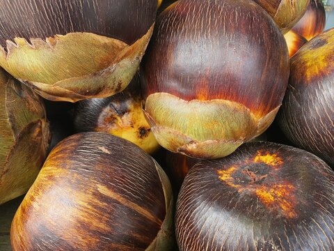 Ice apples, toddy palm fruit or well known as buah lontar, Palmyra palm fruits photography
