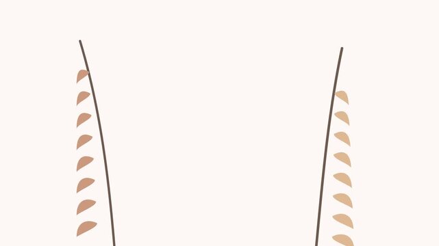 Minimalist graphic illustration of two symmetrical stems with peach leaves