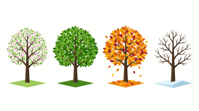 Four trees illustrating the changing seasons: spring blossoms, summer green, autumn fall, and winter bare branches.