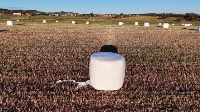 Explotaci&oacute;n agr&iacute;cola con pacas de ensilado vistas desde dron al atardecer
