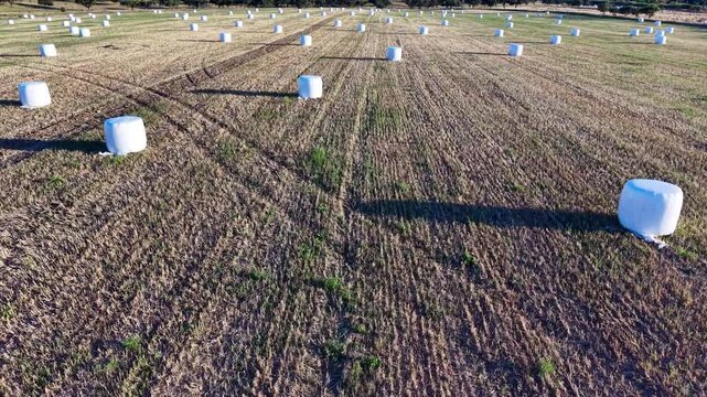 Pacas redondas encintadas para conservaci&oacute;n de forraje en entorno agr&iacute;cola rural