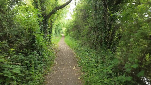 Castor Hanglands, Cambridgeshire, England, UK - June 01 2026: Walking point of view with gimbal.
Through the forest, and towards a bench near the end of the route. Green foliage, a narrow path and a c