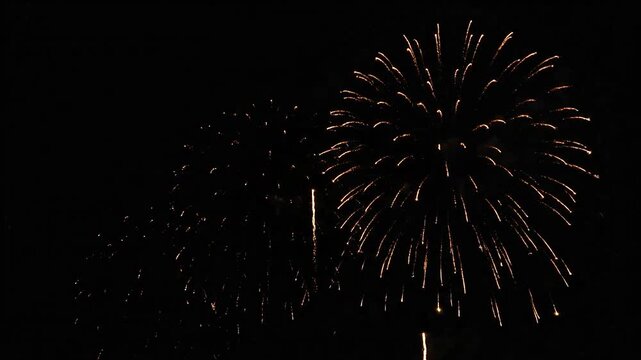 Bright golden fireworks explode against a dark night sky during a celebration