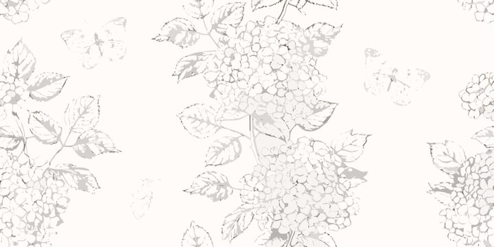 hydrangea clusters line art flowers botanical illustration