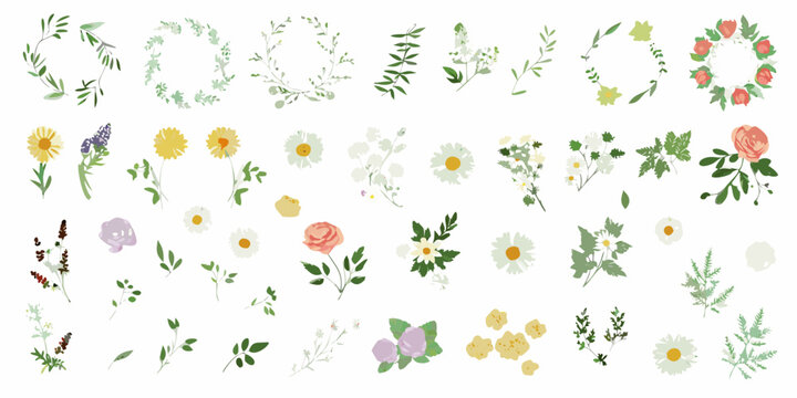 botanical illustrations watercolor style flowers leaves plants
