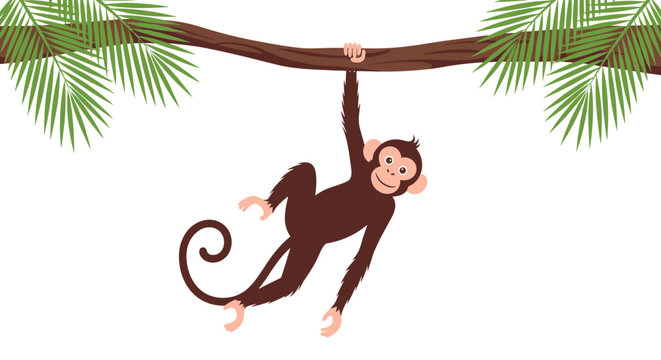 Playful brown monkey hanging by one hand from a tropical tree branch surrounded by green palm leaves.