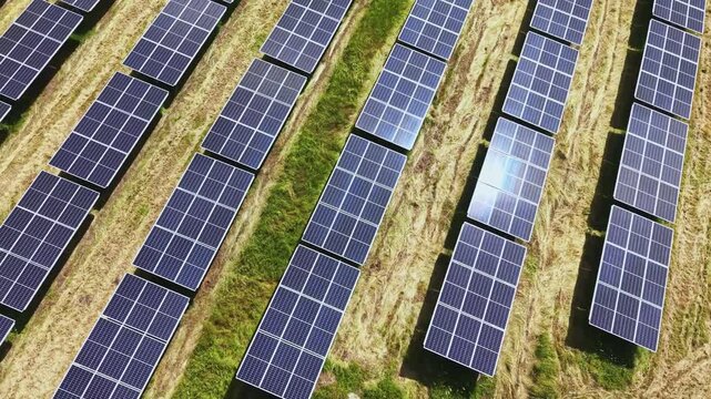 Aerial closeup solar panels over field, drone inspecting tilted photovoltaic rows, grassy corridors between racks, reflective blue cells glinting in summer