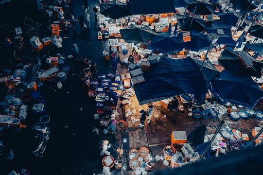 Hoi An fishmarket