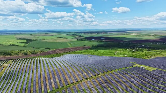Aerial lavender plantation during peak harvest, neat purple rows divided by dirt tracks, tractor trails and harvesting equipment, buzzing bees amid sustainable