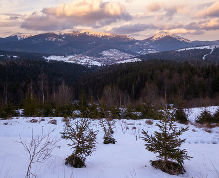Winter evening sunset mountains (Ukraine, Carpathians -  mountain peaks Khomyak and Synyak scenery view from Yablunytsia Pass).
