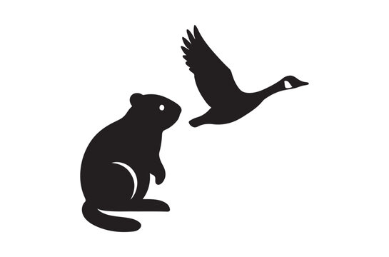 Groundhog And Flying Goose Silhouette Against White Background