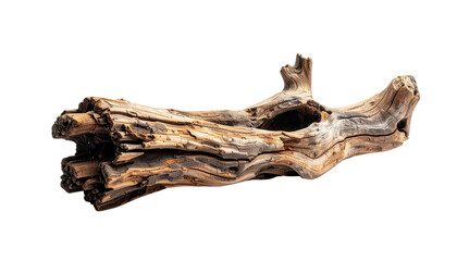 Fototapeta premium A weathered piece of dead driftwood with a hollow core and rough textured bark surface