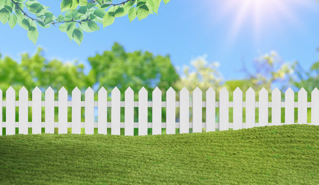 lawn grass in garden with white fence under sunny blue sky