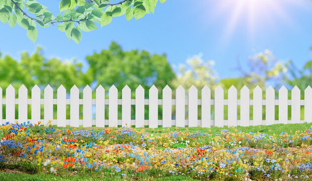 Wildflower garden with white fence under sunny blue sky
