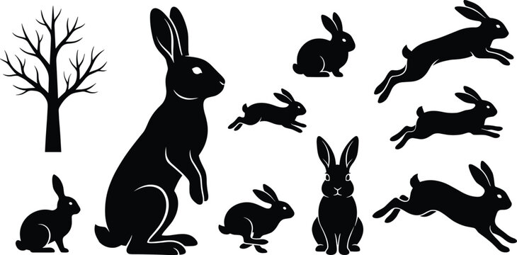 Jumping Rbbit Template