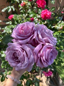 Sissy rose bouquet