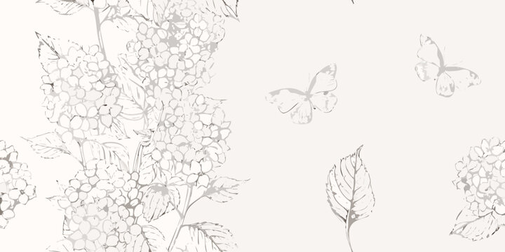 hydrangea clusters line art flowers botanical illustration