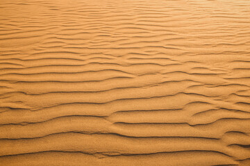 Beatutiful desert sand waves background with copy space © rangizzz