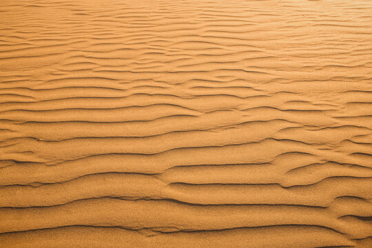 Beatutiful desert sand waves background with copy space
