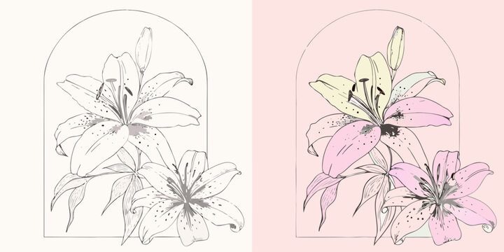 lily flowers in pastel and monochrome vector