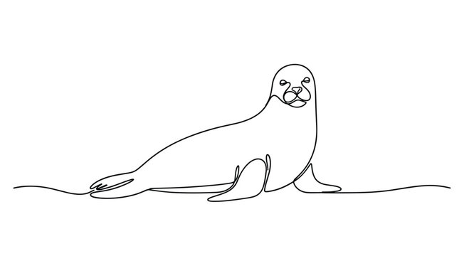 A simple line drawing of a seal resting on the ground looking directly at the viewer with curiosity