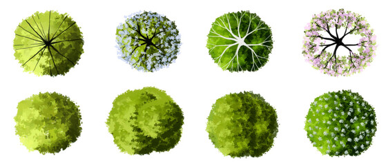 Obraz premium Vector set of Top view green tree for outdoor plan or map and architecture drawing, elements for environment and garden ,botanical elements ,Blooming flowers in spring,tropical plants element