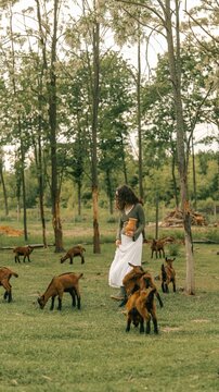 Woman in a white dress holding a jug amidst grazing goats in a wooded pasture
