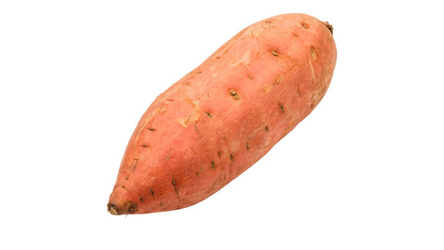 Whole raw fresh sweet potato batata tuber closeup isolated on transparent background