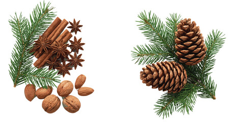 Obraz premium Christmas Pine Branch Collection Vector Illustration with Pinecones, Cinnamon Sticks, Star Anise, and Nuts for Festive Holiday Decoration Designs