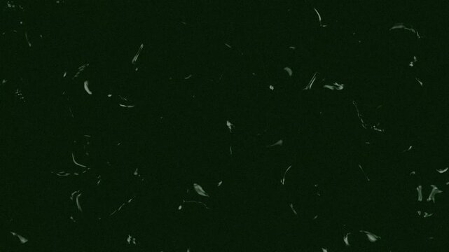 Night Vision Dust Overlay with Film Grain and Hairline Scratch Texture