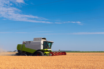 Fototapeta premium Harvester combine harvesting wheat in summer