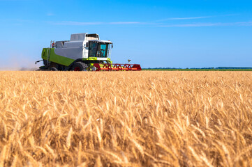 Obraz premium Harvester combine harvesting wheat in summer