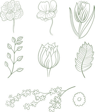 Elegant collection of delicate mint green botanical floral line art illustrations featuring various spring flower arrangements and individual blossoms rendered in a clean minimalist style suitable for