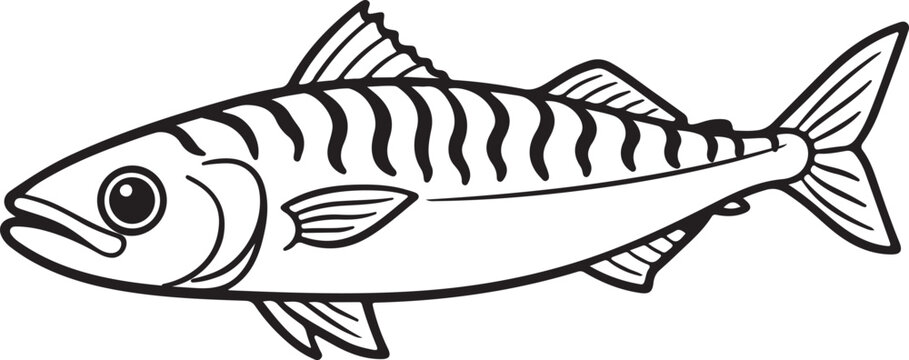 fish vector illustration