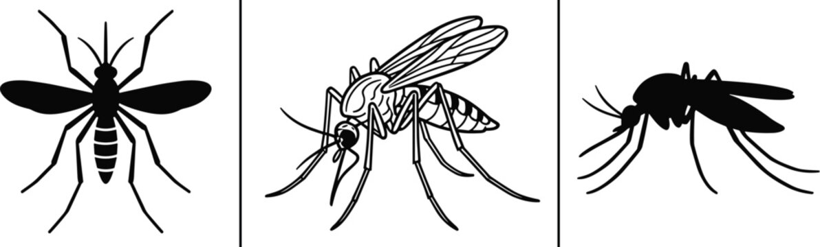 Collection of three distinct mosquito illustrations depicting different styles and poses of the insect