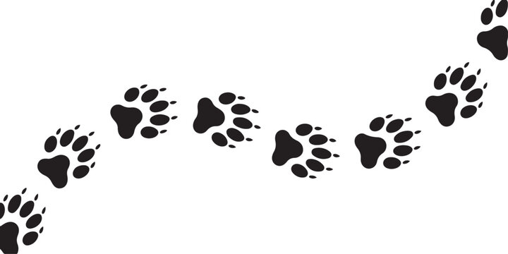 footpath trail of animal fox paws fox paws walking .Silhouette vector illustration