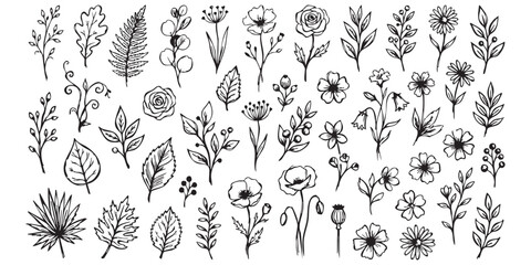 Hand drawn set of flowers and leaves sketch doodle style vector. © MdNoor
