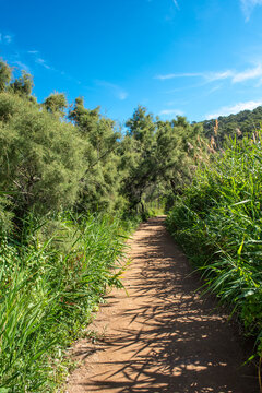 chemin de randonn&eacute;e &agrave; Port Cros, Var