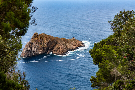 &icirc;lot de la Gabini&egrave;re, &icirc;le de Port Cros au large de Hy&egrave;res, Var