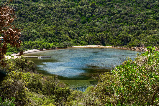 &icirc;le de Port Cros au large de Hy&egrave;res, Var