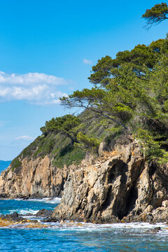 &icirc;le de Port Cros au large de Hy&egrave;res, Var