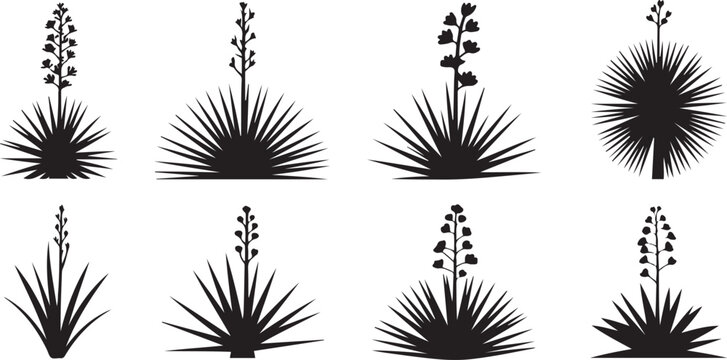 Set of yucca icons Silhouette vector illustration