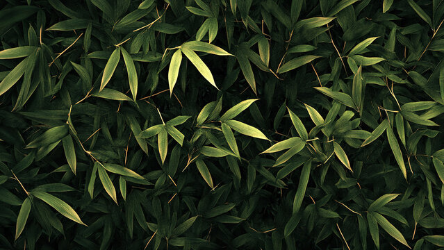 natural green bamboo leaf texture 