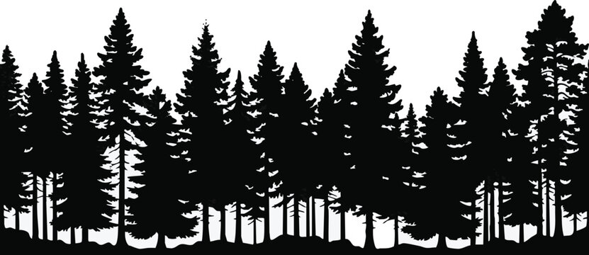 Forest silhouette featuring a dense collection of evergreen pine trees provides a natural landscape border for environmental and woodland conservation themes.
