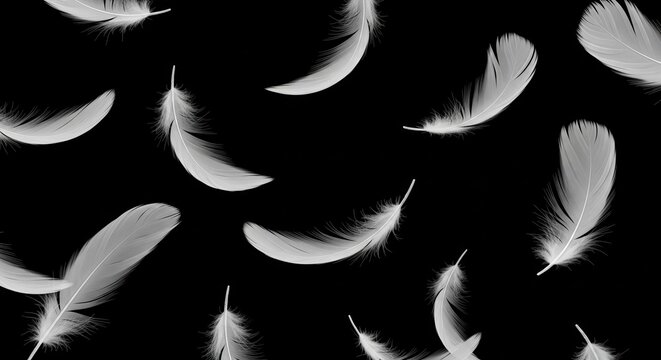 Elegant White Feathers Falling Gently Against a Solid Black Background - Minimalist Abstract Concept