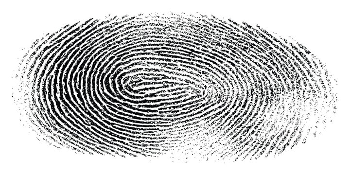 Abstract black human fingerprint oval texture biometric security identity verification concept isolated vector illustration background.