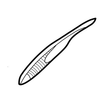 Amphioxus Animal kingdom Fish Biology
