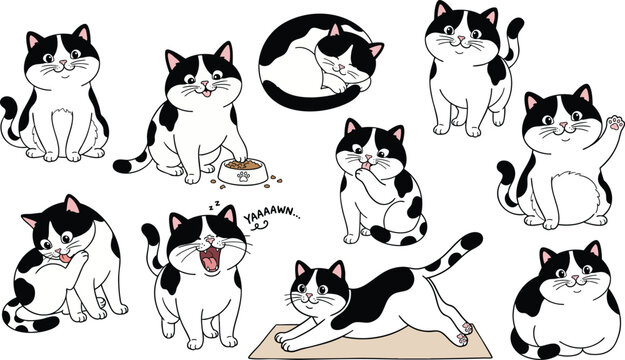 Cute tuxedo cat stickers set black and white cartoon kitten characters collection with funny poses and emotions