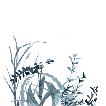 A clump of indigo blue grass
