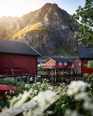 Fototapeten Lofoten lofoten island norway  © AleCalo